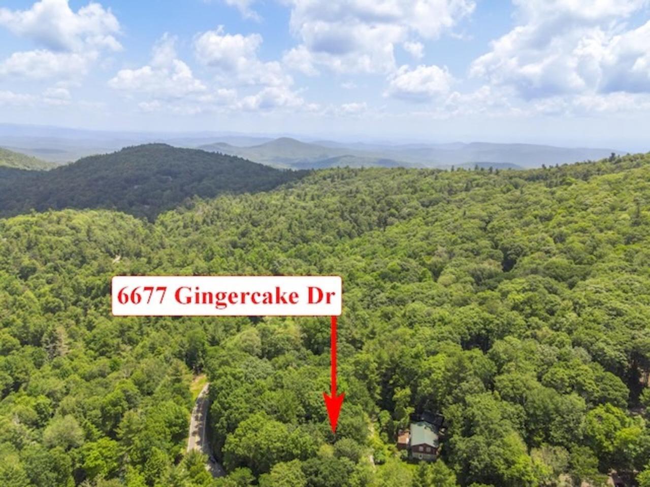 Gingercake Mtn Cottage At Linville Gorge - Wood Burning Fireplace Linville Falls Dış mekan fotoğraf