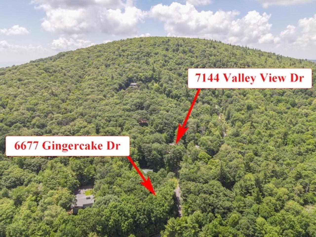 Gingercake Mtn Cottage At Linville Gorge - Wood Burning Fireplace Linville Falls Dış mekan fotoğraf